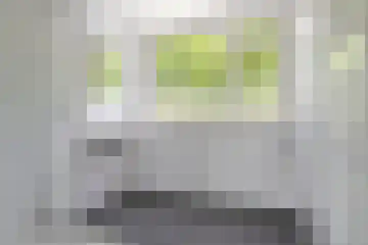 Wuustwezelstraat 69 Breda thumbnail 33