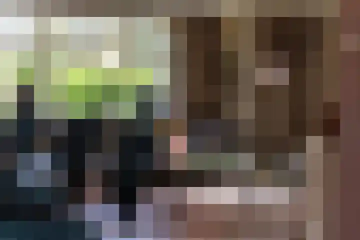 Wylgestrjitte 3 Lemmer thumbnail 11