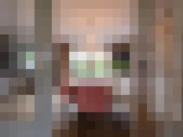 Wylgestrjitte 3 Lemmer thumbnail 18