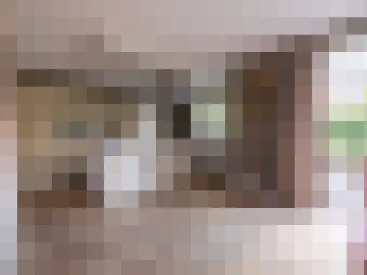 Wylgestrjitte 3 Lemmer thumbnail 20