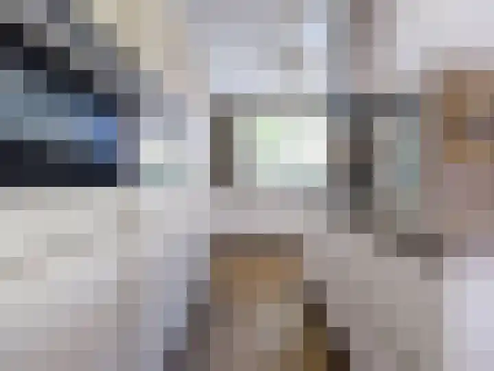 Wylgestrjitte 3 Lemmer thumbnail 22