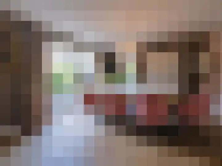 Wylgestrjitte 3 Lemmer thumbnail 24