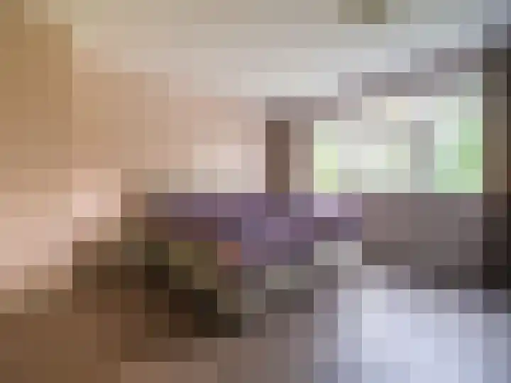 Wylgestrjitte 3 Lemmer thumbnail 30