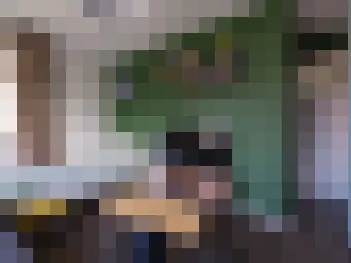 Wylgestrjitte 3 Lemmer thumbnail 39