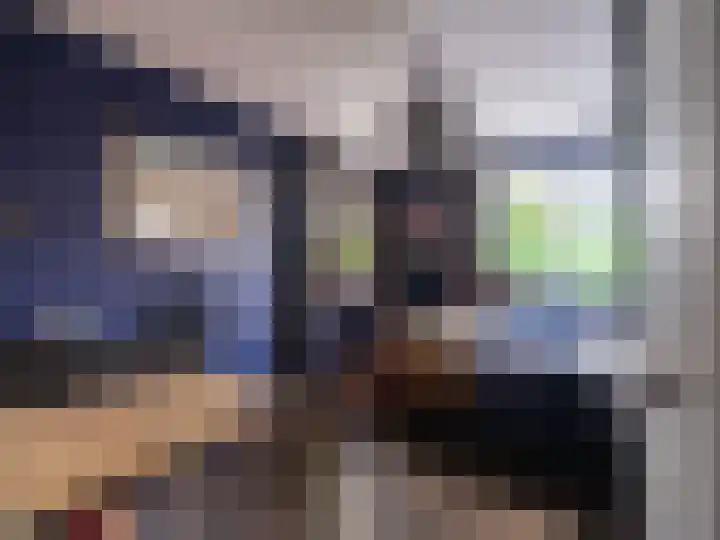 Wylgestrjitte 3 Lemmer thumbnail 40