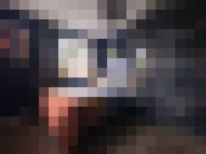 Wylgestrjitte 3 Lemmer thumbnail 41