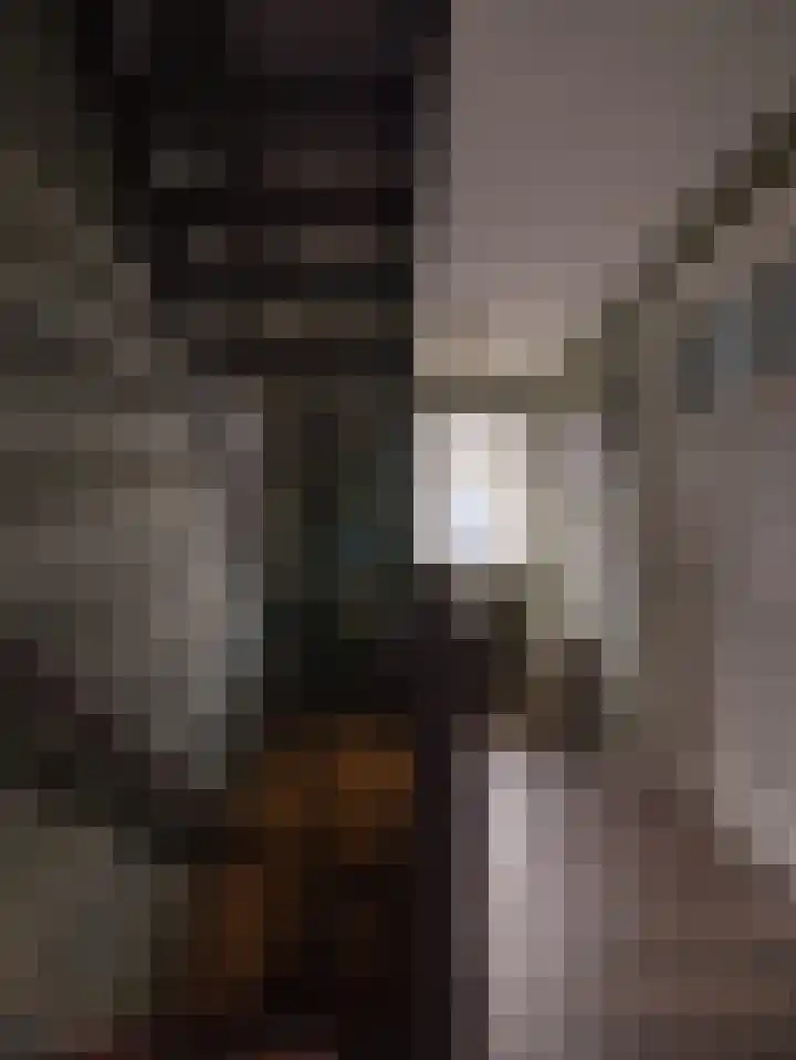 Wylgestrjitte 3 Lemmer thumbnail 43