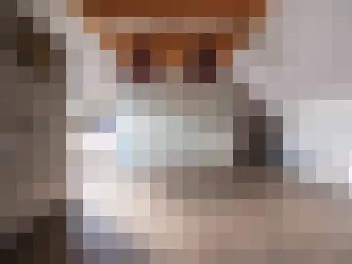 Wylgestrjitte 3 Lemmer thumbnail 44