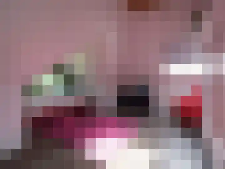 Wylgestrjitte 3 Lemmer thumbnail 47