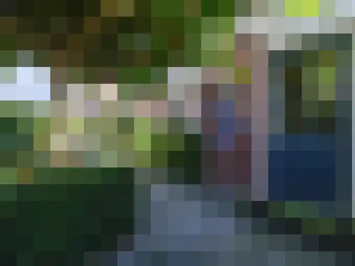 Wylgestrjitte 3 Lemmer thumbnail 56