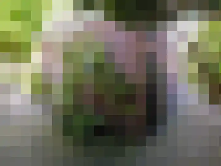 Wylgestrjitte 3 Lemmer thumbnail 58