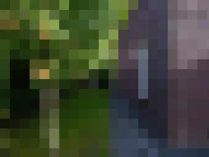 Wylgestrjitte 3 Lemmer thumbnail 60