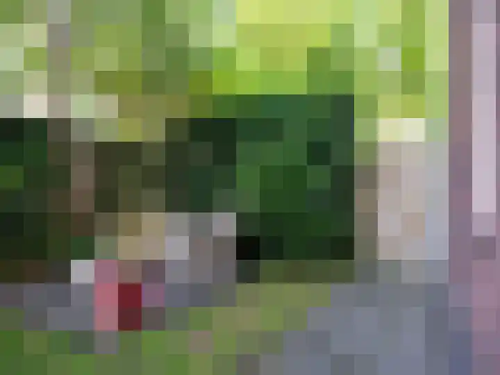 Wylgestrjitte 3 Lemmer thumbnail 61