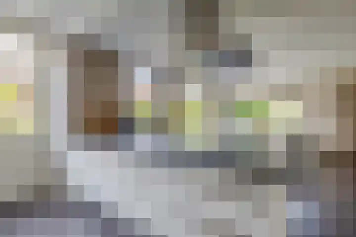 Wylgestrjitte 7 Lemmer thumbnail 14