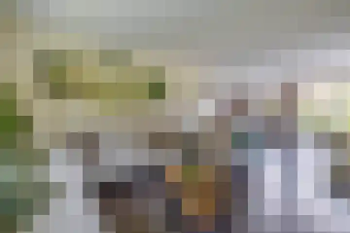 Wylgestrjitte 7 Lemmer thumbnail 19