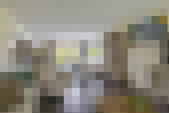 Wylgestrjitte 7 Lemmer thumbnail 20