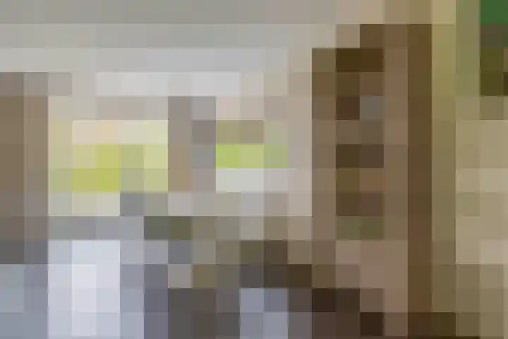 Wylgestrjitte 7 Lemmer thumbnail 21