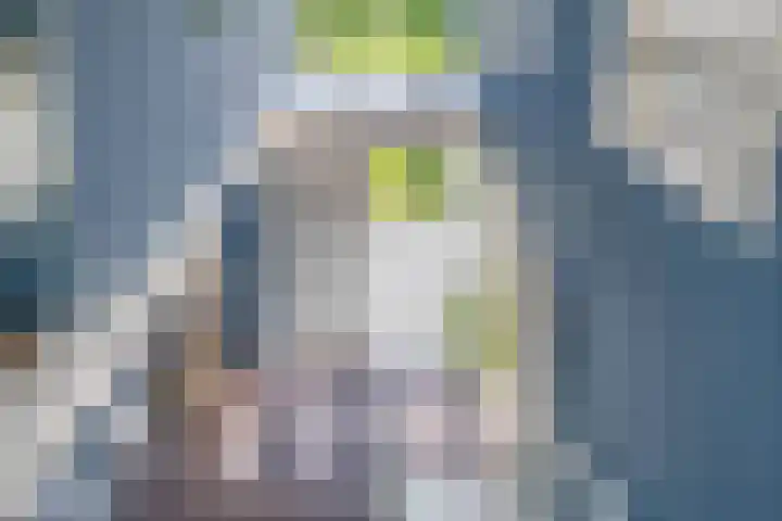 Wylgestrjitte 7 Lemmer thumbnail 28