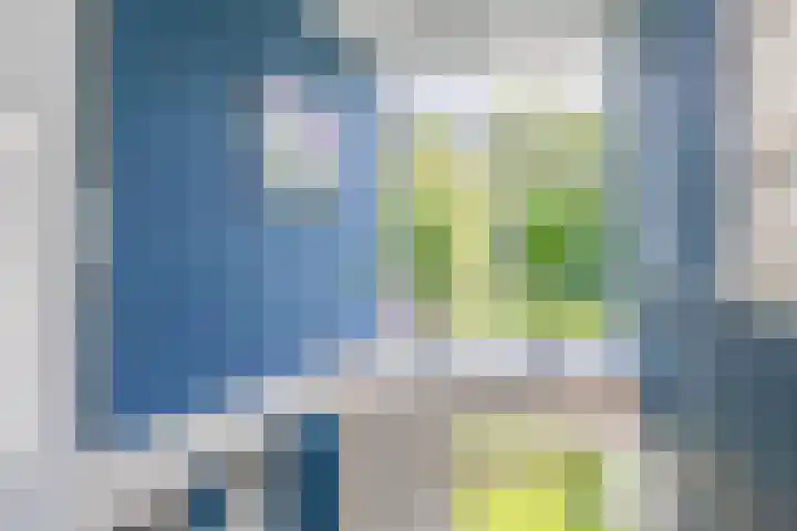 Wylgestrjitte 7 Lemmer thumbnail 29