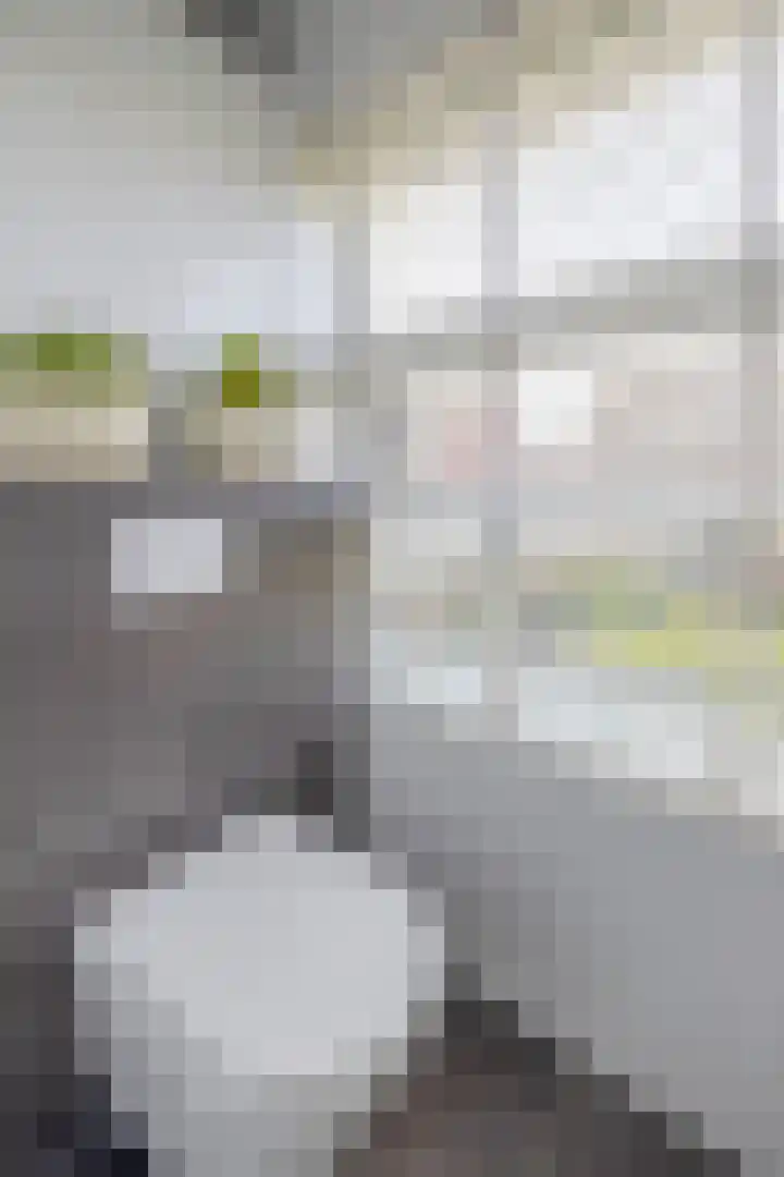 Wylgestrjitte 7 Lemmer thumbnail 34