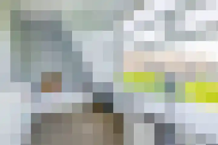 Wylgestrjitte 7 Lemmer thumbnail 38