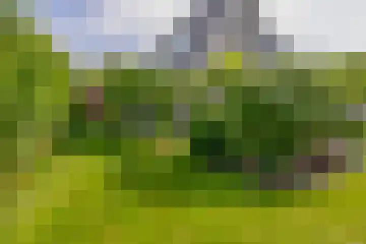 Wylgestrjitte 7 Lemmer thumbnail 4