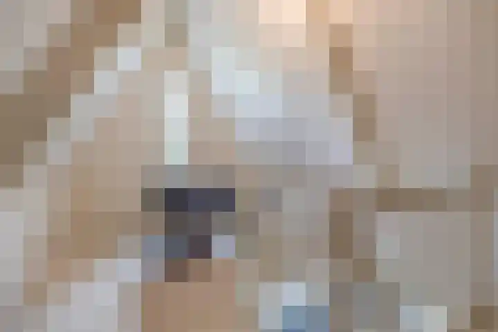 Wylgestrjitte 7 Lemmer thumbnail 40