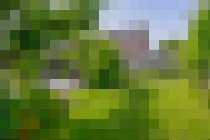 Wylgestrjitte 7 Lemmer thumbnail 44
