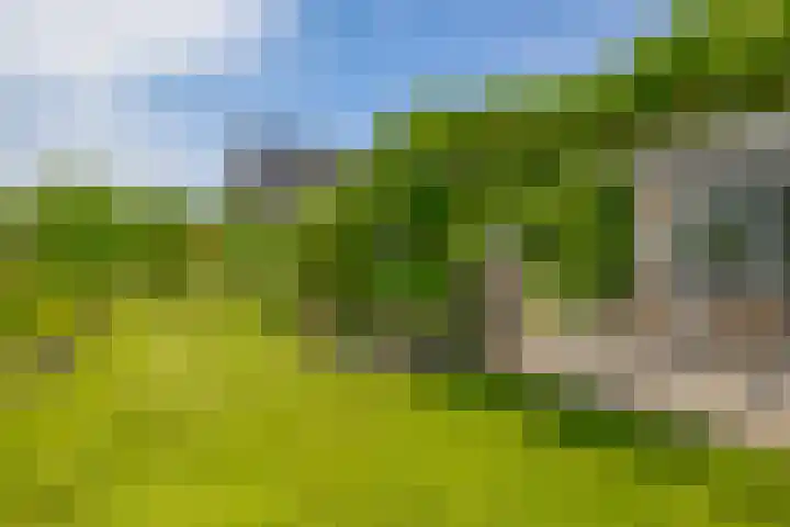 Wylgestrjitte 7 Lemmer thumbnail 45