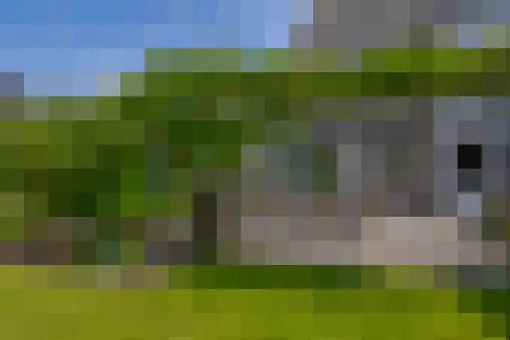 Wylgestrjitte 7 Lemmer thumbnail 46