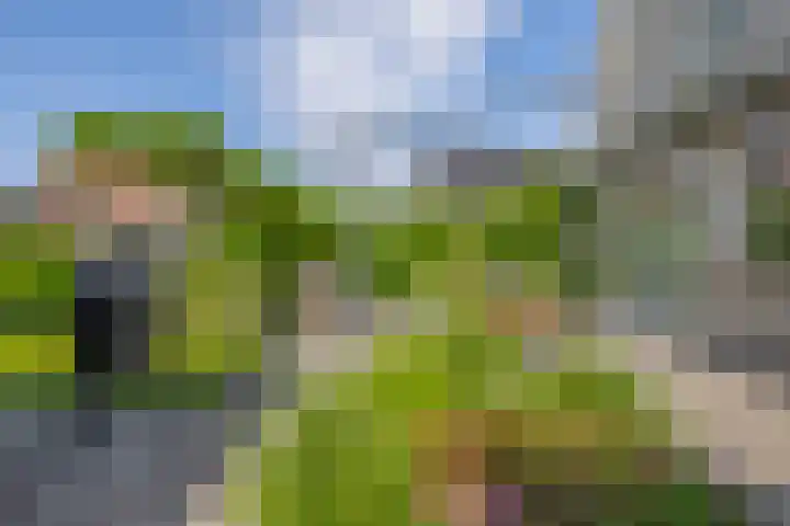 Wylgestrjitte 7 Lemmer thumbnail 48