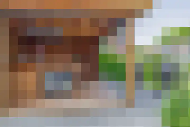 Wylgestrjitte 7 Lemmer thumbnail 50