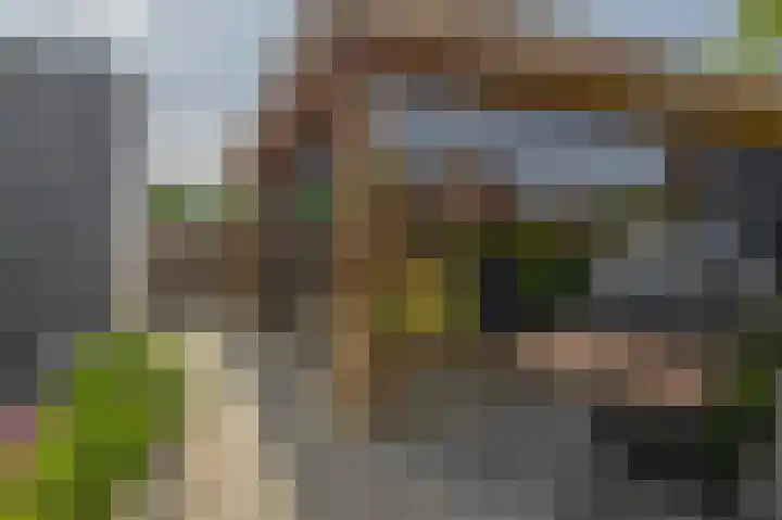 Wylgestrjitte 7 Lemmer thumbnail 54