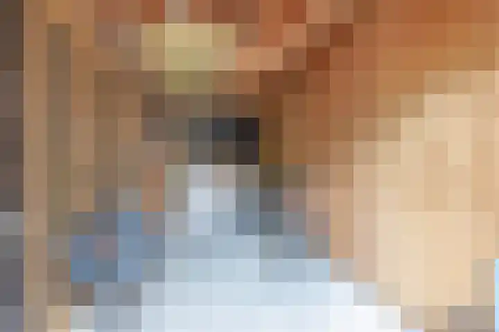 Wylgestrjitte 7 Lemmer thumbnail 55