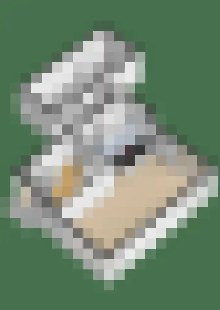 Wylgestrjitte 7 Lemmer thumbnail 62