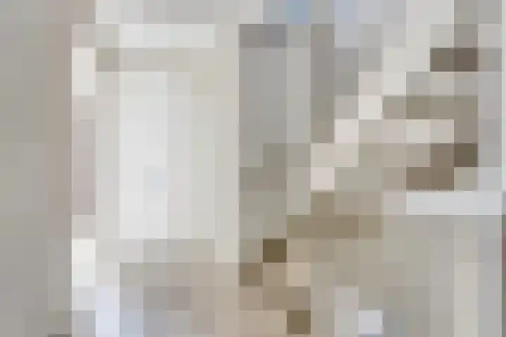 Wylp 3 Dronryp thumbnail 12