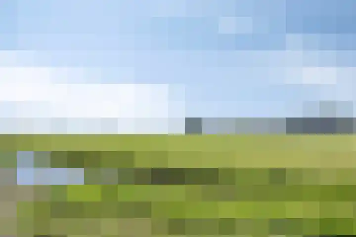 Wylp 3 Dronryp thumbnail 29