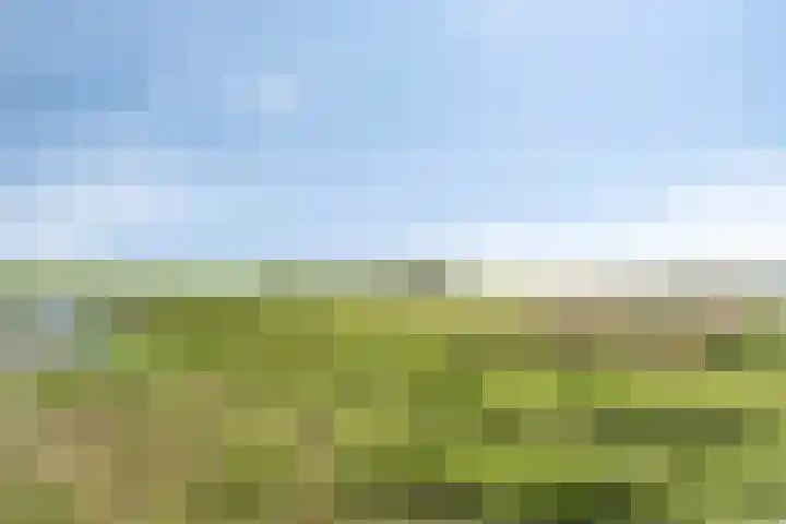 Wylp 3 Dronryp thumbnail 30