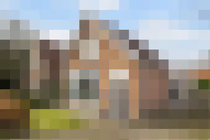 Wyns 17 Wyns thumbnail 12