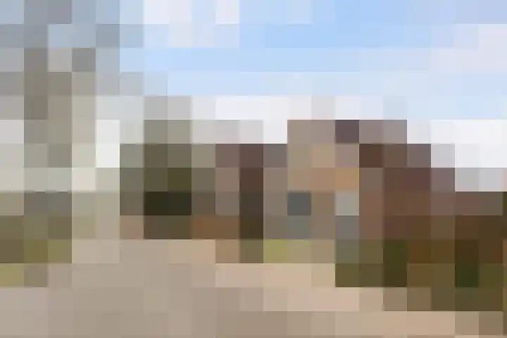 Wyns 17 Wyns thumbnail 13