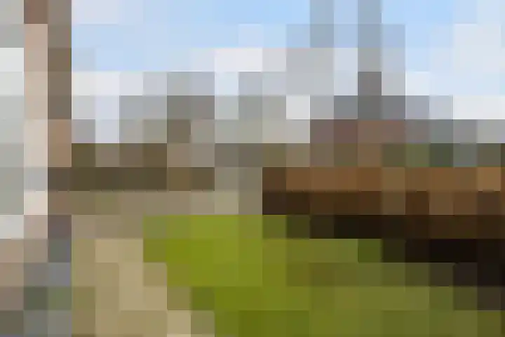 Wyns 17 Wyns thumbnail 14