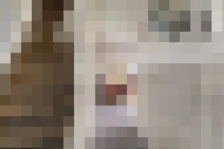 Wyns 17 Wyns thumbnail 16