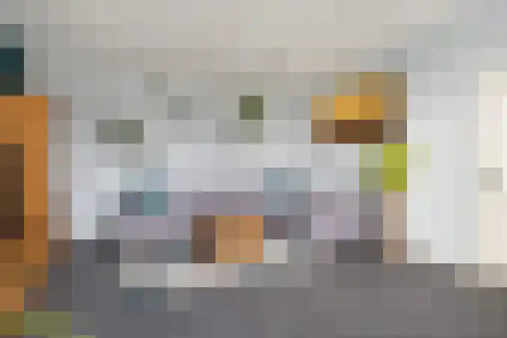 Wyns 17 Wyns thumbnail 19