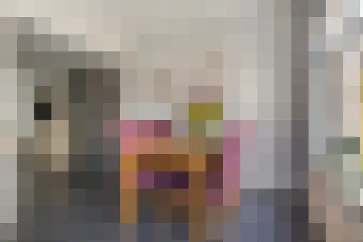 Wyns 17 Wyns thumbnail 23