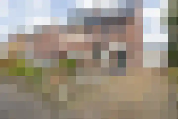 Wyns 17 Wyns thumbnail 25