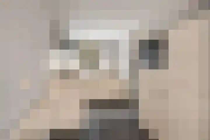 Wyns 17 Wyns thumbnail 25