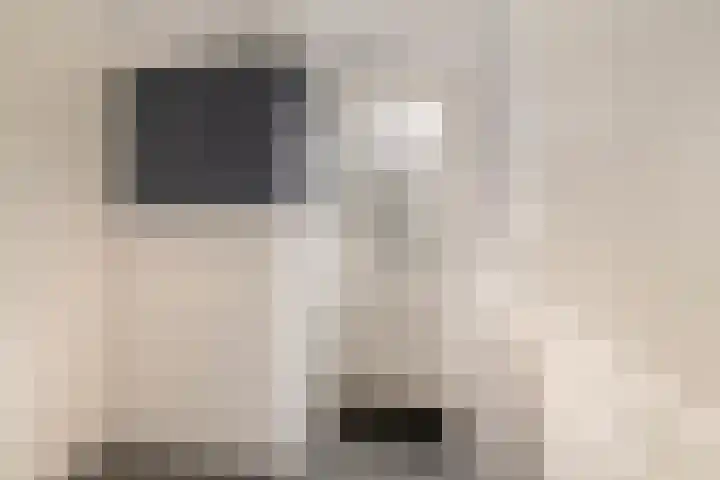 Wyns 17 Wyns thumbnail 27