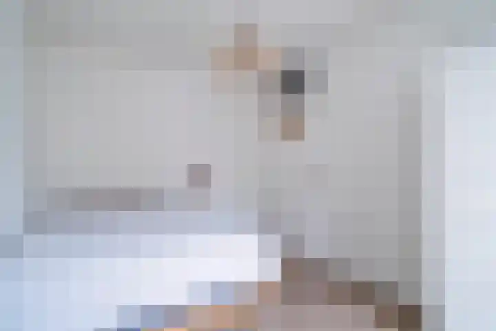 Wyns 17 Wyns thumbnail 29