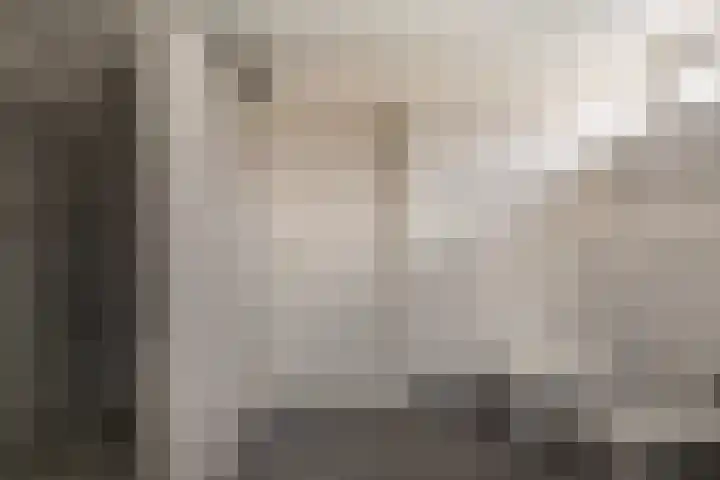Wyns 17 Wyns thumbnail 31