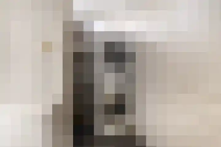 Wyns 17 Wyns thumbnail 33